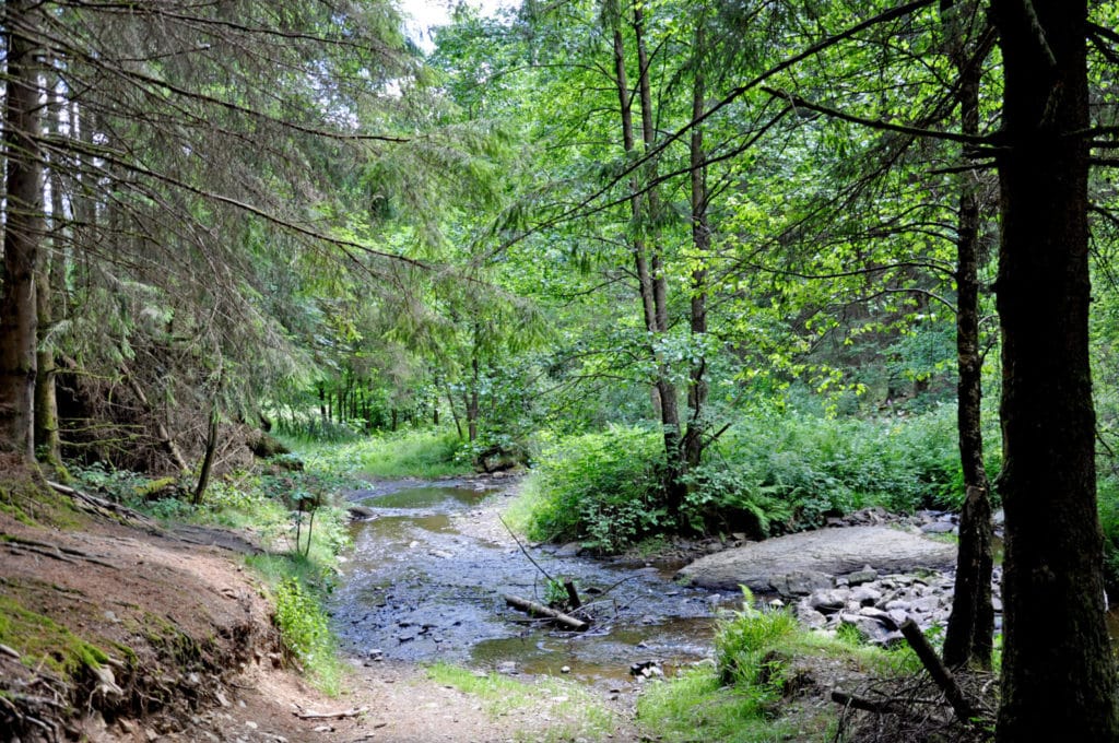 15 meilleures choses à faire à Houffalize (Belgique) 8