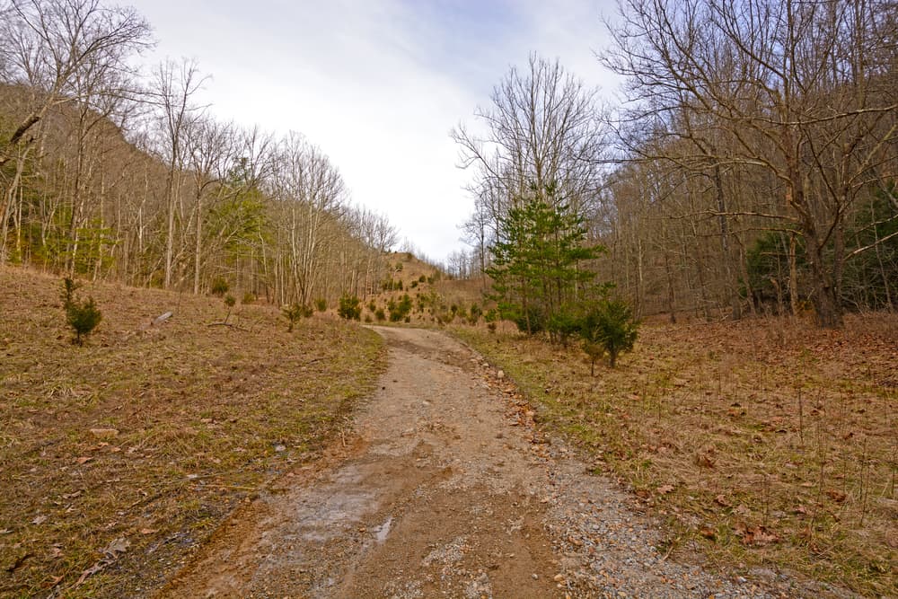 Wilderness Road Trail