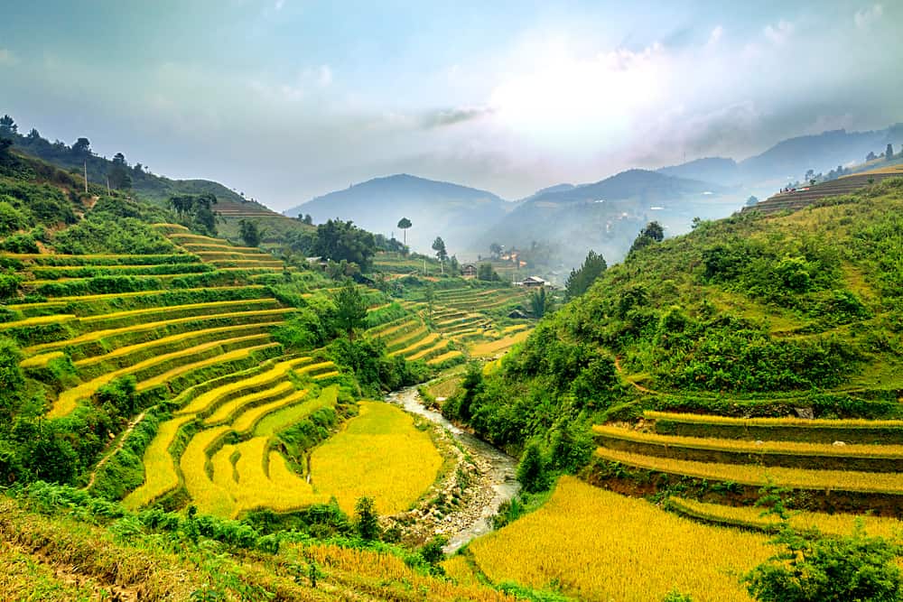 Champs de rizières en terrasse à Mu Cang Chai, Vietnam