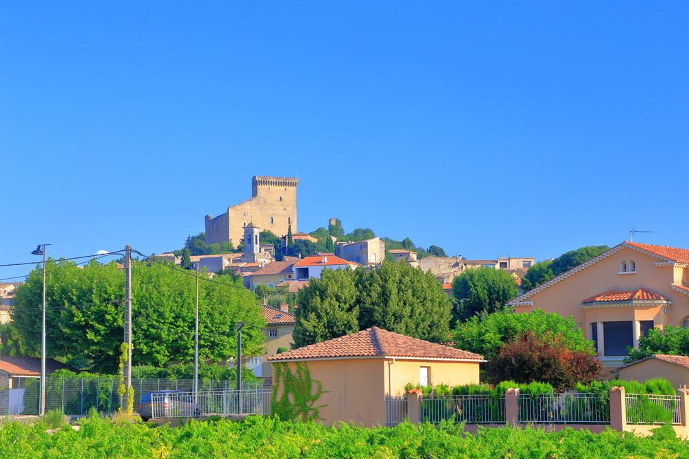 Vignobles et château, Châteauneuf du Pape