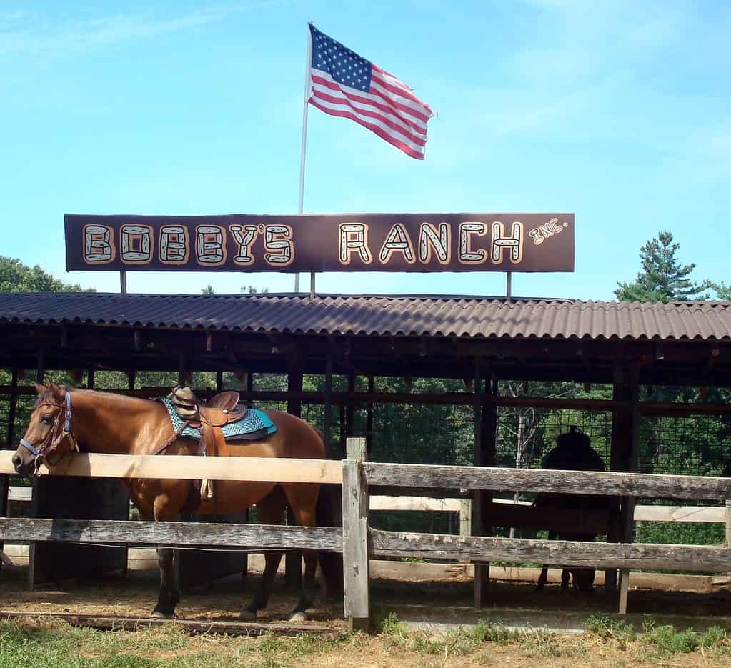 Le Ranch de Bobby